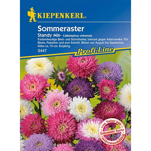 Astra čínska Standy, zmes artikel fotografia 1 Astra čínska Standy, zmes obrázok 1 artikel 96573