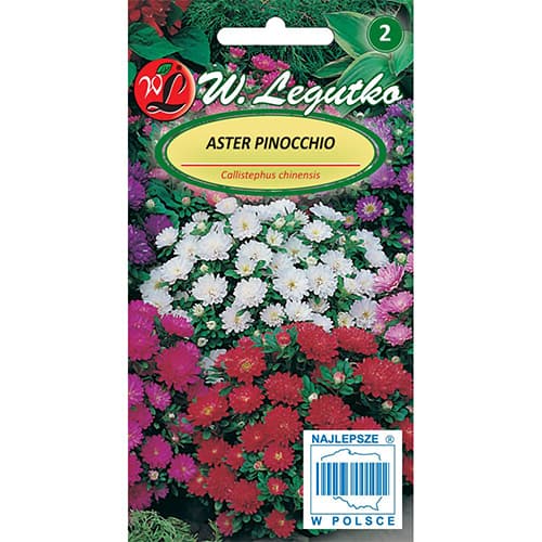 Astra činska trpaslíčia Pinocchio, zmes artikel fotografia 1 Astra činska trpaslíčia Pinocchio, zmes obrázok 1 artikel 86813