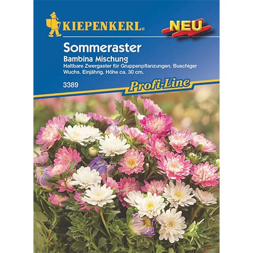 Astra trpasličia Bambina, zmes artikel fotografia 1 Astra trpasličia Bambina, zmes obrázok 1 artikel 87764