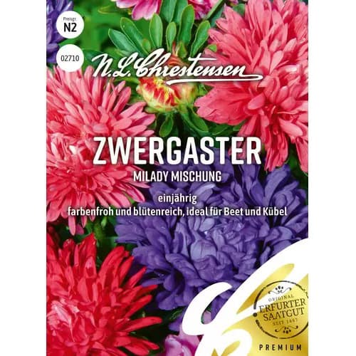 Astra trpasličia Milady, zmes obrázok 1 artikel 87825