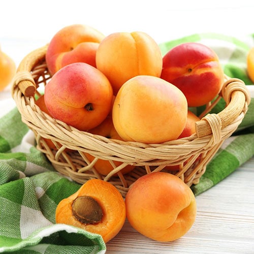 Marhuľa Bebeco obrázok 1 artikel 4276