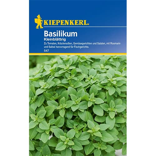 Bazalka drobnolistá obrázok 1 artikel 77456