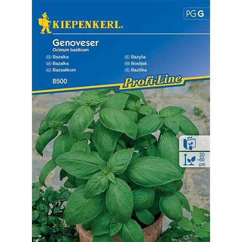 Bazalka listnatá obrázok 1 artikel 96592