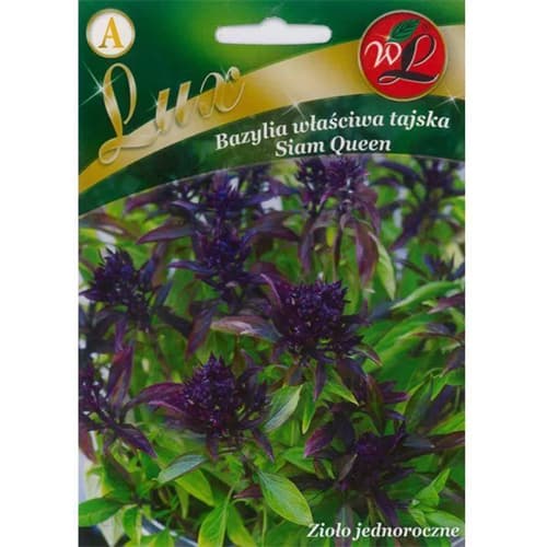Bazalka pravá thajská Thai Siam Queen obrázok 1 artikel 86840