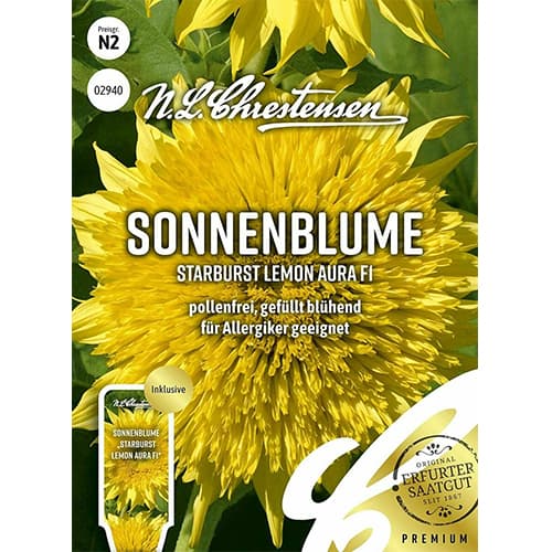 Okrasná slnečnica Starburst Lemon Aura F1 artikel fotografia 1 Okrasná slnečnica Starburst Lemon Aura F1 obrázok 1 artikel 86192