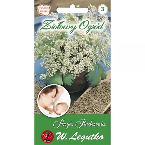 Bedrovník anízový obrázok 1 artikel 69664