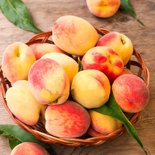 Broskyňa Lolita, C2 artikel fotografia 1 Broskyňa Lolita, C2 obrázok 1 artikel 9677