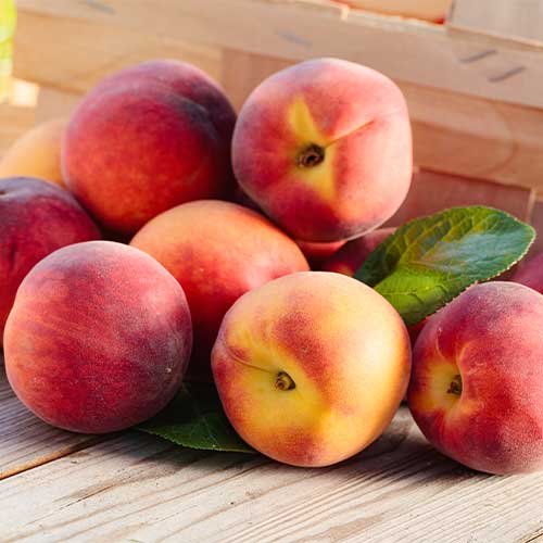 Broskyňa Romeo, C2 artikel fotografia 1 Broskyňa Romeo, C2 obrázok 1 artikel 9678