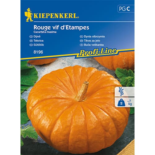 Tekvica Rouge vif d'Etampes obrázok 1 artikel 86472