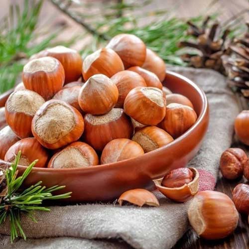 Lieska Sacajawea obrázok 1 artikel 6932