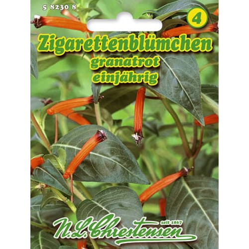 Kufea ohnivo-červená obrázok 1 artikel 96412