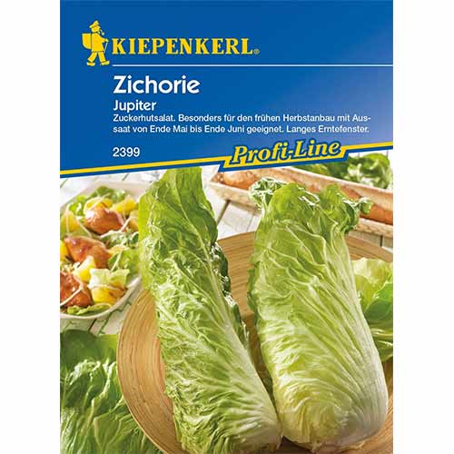 Čakanka Jupiter F1 obrázok 1 artikel 96686