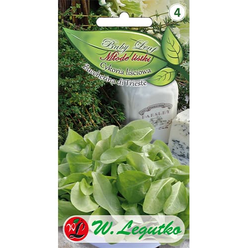 Čakanka listová Zuccherina di Trieste - Baby Leaf obrázok 1 artikel 86705