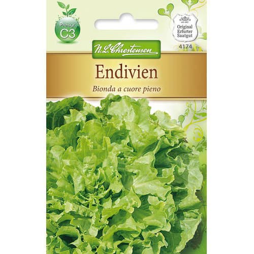 Čakanka štrbáková Bionda a cuore pieno obrázok 1 artikel 78763