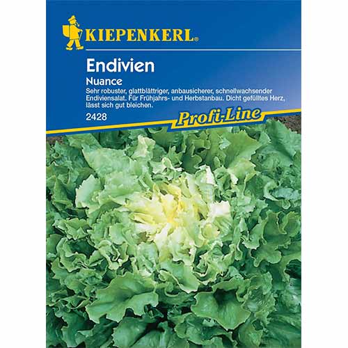 Čakanka štrbáková Nuance obrázok 1 artikel 96614