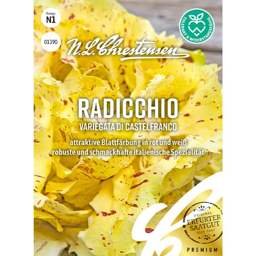 Čakanka štrbáková Variegata di Castelfranco obrázok 1 artikel 86082