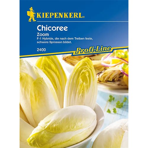 Čakanka štrbáková Zoom F1 obrázok 1 artikel 86424