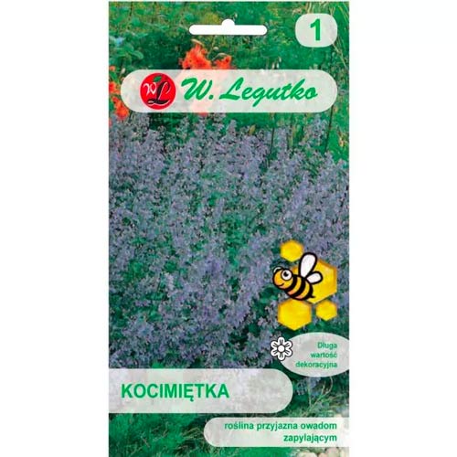 Catnip modrofialová obrázok 1 artikel 96716