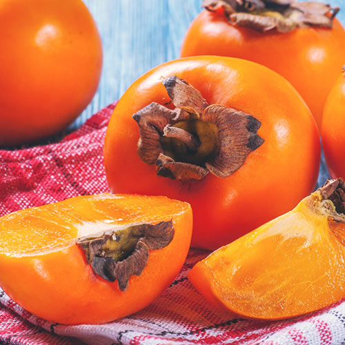 Ebenovník rajčiakový Chocolate artikel fotografia 1 Ebenovník rajčiakový Chocolate obrázok 1 artikel 4284