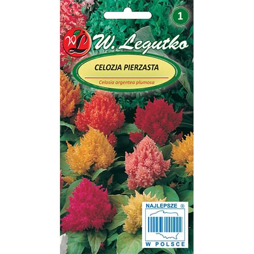 Celosia plumosa, zmes obrázok 1 artikel 78535
