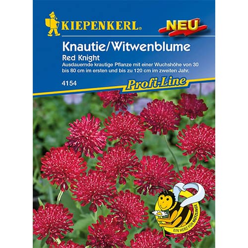 Chrastavec makedonský (Knautia) Red Knight artikel fotografia 1 Chrastavec makedonský (Knautia) Red Knight obrázok 1 artikel 96551