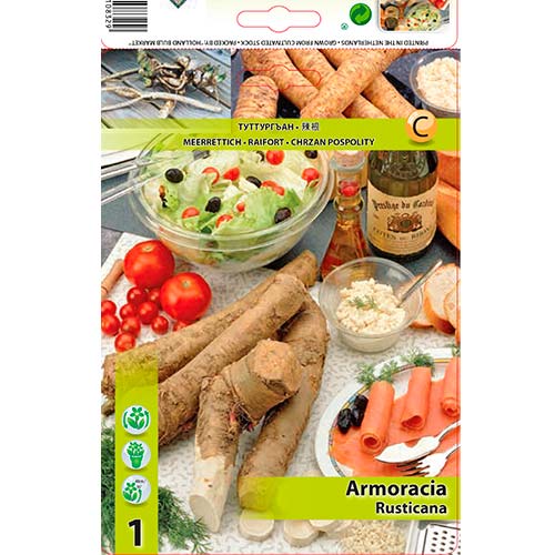 Chren sedliacky artikel fotografia 1 Chren sedliacky obrázok 1 artikel 70503