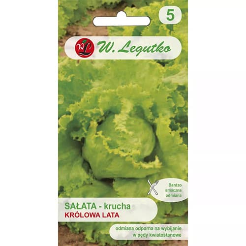 Chrumkavý ľadový hlávkový šalát Królowa Lata artikel fotografia 1 Chrumkavý ľadový hlávkový šalát Królowa Lata obrázok 1 artikel 78499