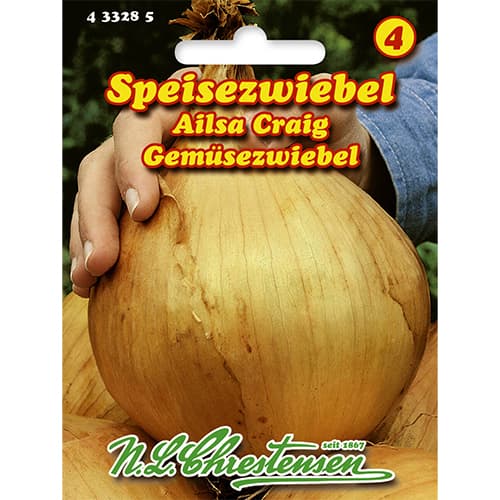Cibuľa Ailsa Craig artikel fotografia 1 Cibuľa Ailsa Craig obrázok 1 artikel 86043