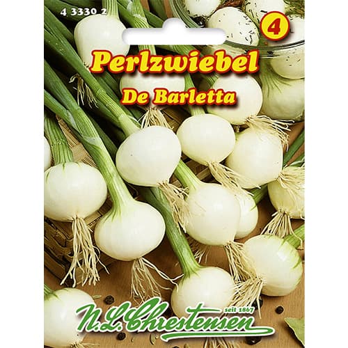 Cibuľa perlová De Barletta artikel fotografia 1 Cibuľa perlová De Barletta obrázok 1 artikel 86077