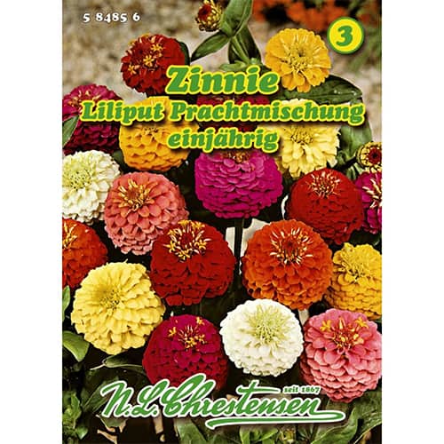 Cínia pôvabná Liliput, zmes obrázok 1 artikel 87823