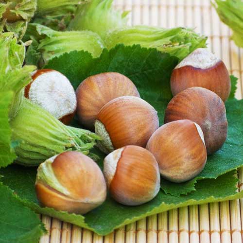 Lieska Yamhill artikel fotografia 1 Lieska Yamhill obrázok 1 artikel 6931