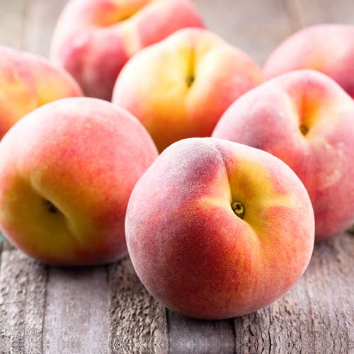 Broskyňa Platybest obrázok 1 artikel 4300