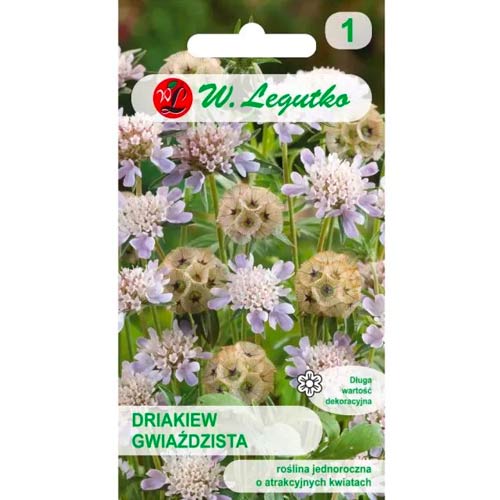 Dryáda hviezdicovitá artikel fotografia 1 Dryáda hviezdicovitá obrázok 1 artikel 96697