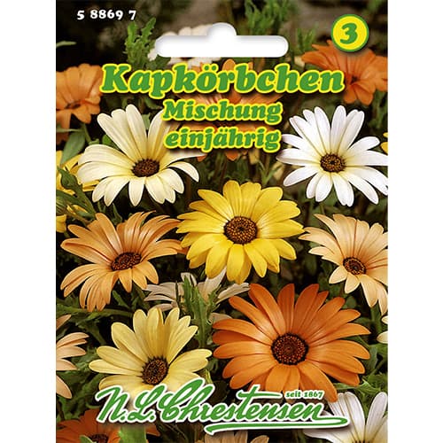 Dvojtvárnik vykrojený (Złotokwiat) obrázok 1 artikel 86148