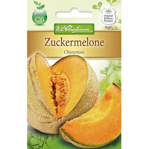 Dyňa Charentais obrázok 1 artikel 78799