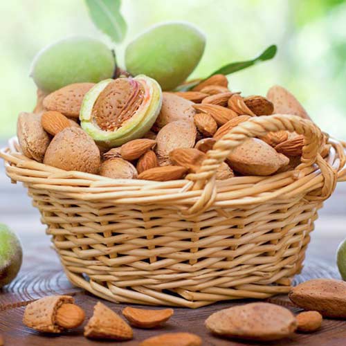 Mandľovník Self-fertile obrázok 1 artikel 4274