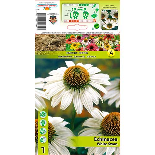 Echinacea White Swan artikel fotografia 1 Echinacea White Swan obrázok 1 artikel 76624