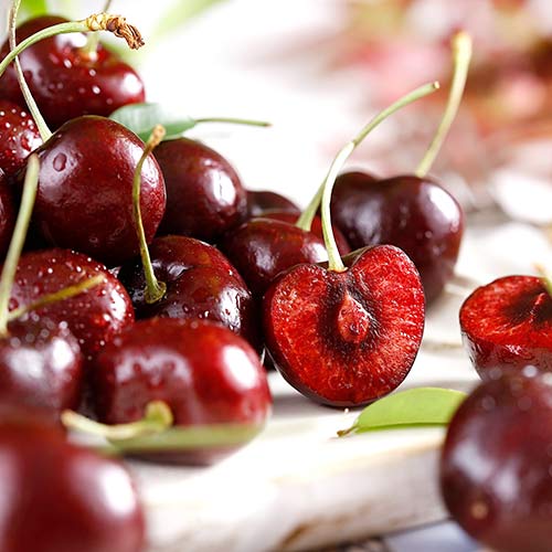 Čerešňa Lapins obrázok 1 artikel 4279