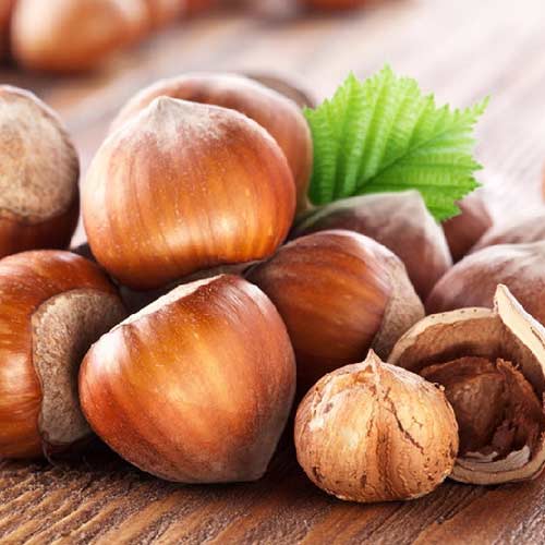 Lieska Sozi obrázok 1 artikel 4283