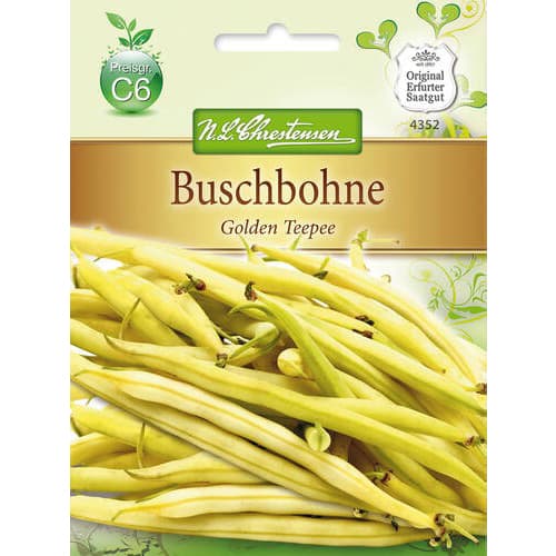 Fazuľa Golden Teepee artikel fotografia 1 Fazuľa Golden Teepee obrázok 1 artikel 78818