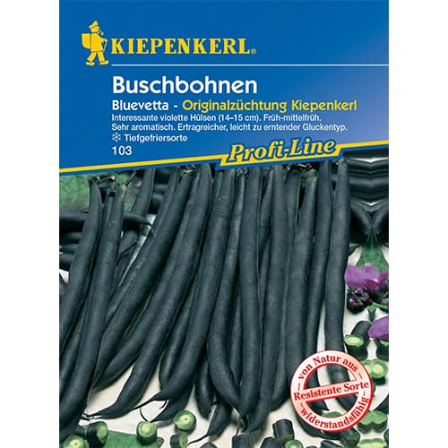 Fazuľa kríčková Bluevetta artikel fotografia 1 Fazuľa kríčková Bluevetta obrázok 1 artikel 77467