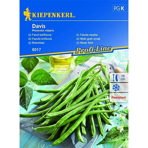 Fazuľa kríčková Davis artikel fotografia 1 Fazuľa kríčková Davis obrázok 1 artikel 87274