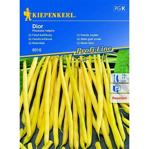 Fazuľa kríčková Dior artikel fotografia 1 Fazuľa kríčková Dior obrázok 1 artikel 87275