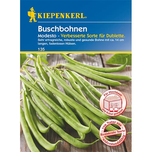 Fazuľa kríčková Modesto obrázok 1 artikel 96602