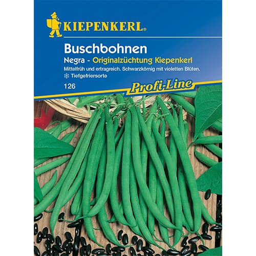 Fazuľa kríčková Negra artikel fotografia 1 Fazuľa kríčková Negra obrázok 1 artikel 77471