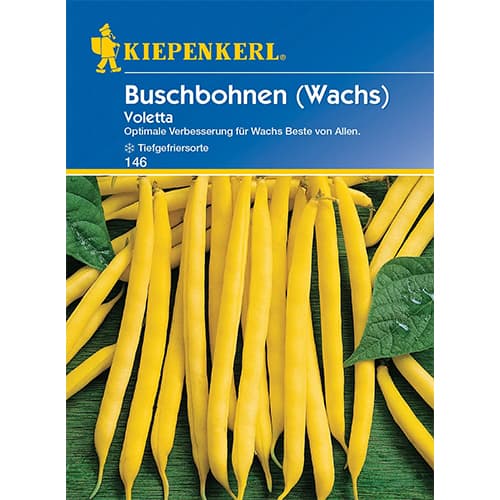 Fazuľa kríčková Voletta artikel fotografia 1 Fazuľa kríčková Voletta obrázok 1 artikel 86404