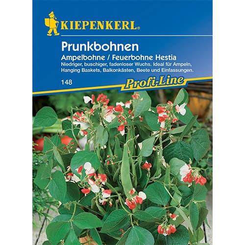 Fazuľa mnohokvetá Hestia artikel fotografia 1 Fazuľa mnohokvetá Hestia obrázok 1 artikel 77468