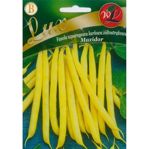 Fazuľa šarlátová trpasličia Maxidor artikel fotografia 1 Fazuľa šarlátová trpasličia Maxidor obrázok 1 artikel 96818