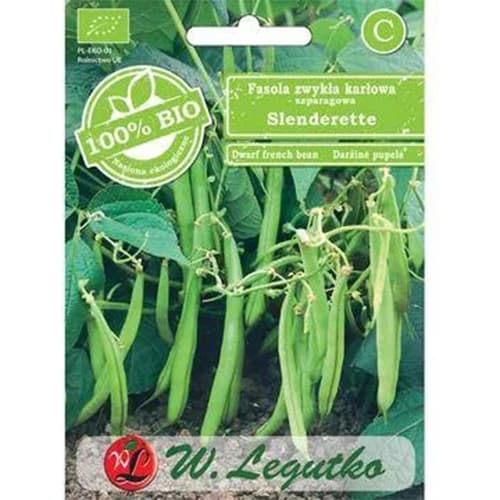 Fazuľa šarlátová trpasličia Slenderette artikel fotografia 1 Fazuľa šarlátová trpasličia Slenderette obrázok 1 artikel 96828