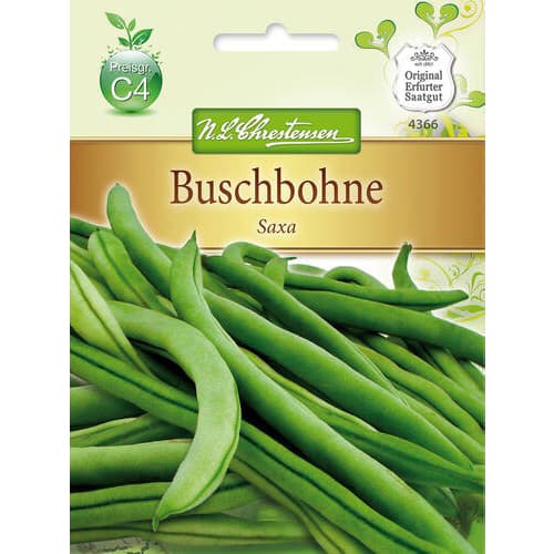 Fazuľa Saxa 2 artikel fotografia 1 Fazuľa Saxa 2 obrázok 1 artikel 78824